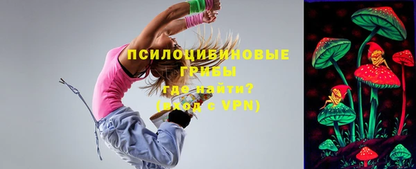 мет Белокуриха