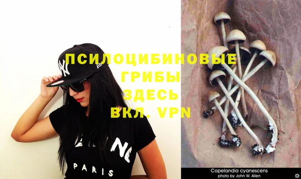 мет Белокуриха